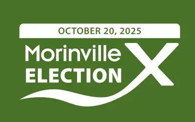 Election 2025 Logo Reverse