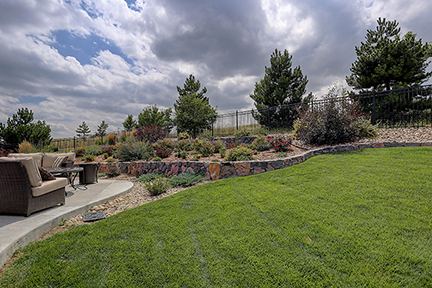 Xeriscaped Yard